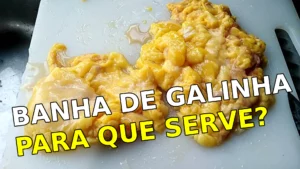 Banha de galinha para que serve? Benefícios e Utilizações