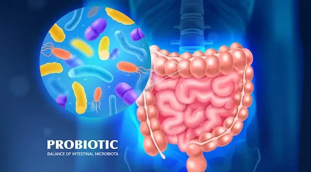 Probióticos e prebióticos como eles favorecem a flora intestinal