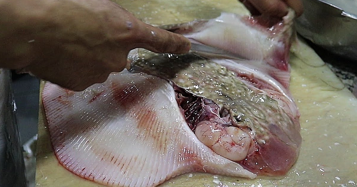 Descubra os Benefícios da Carne de Arraia + Receitas