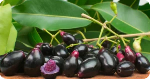 Benefícios do Jamelão: Uma Fruta Surpreendente para a Saúde