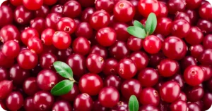 Oxicoco: O Superfruto e Seus Benefícios para a Saúde