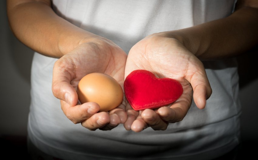 Benefícios do ovo - Redução do Colesterol LDL