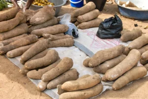 Inhame: O Superalimento que Transforma Sua Saúde